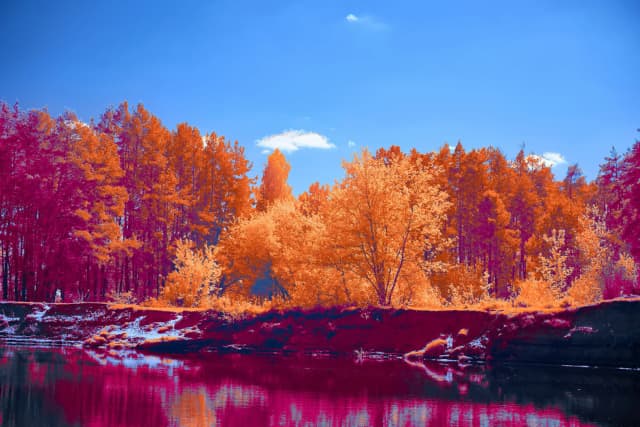 ESG Regulations 2026: A Board Director's Guide